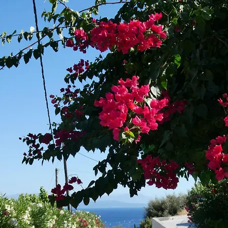 Petros, Vassiliki, Lefkada - 3 Bedrooms, Pool, Stunning Views *