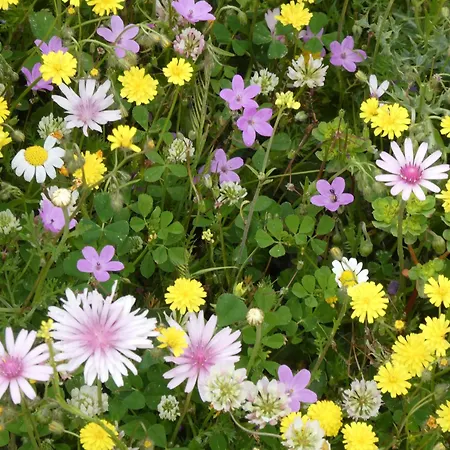 Petros, Vassiliki, Lefkada - 3 Bedrooms, Pool, Stunning Views Pondi